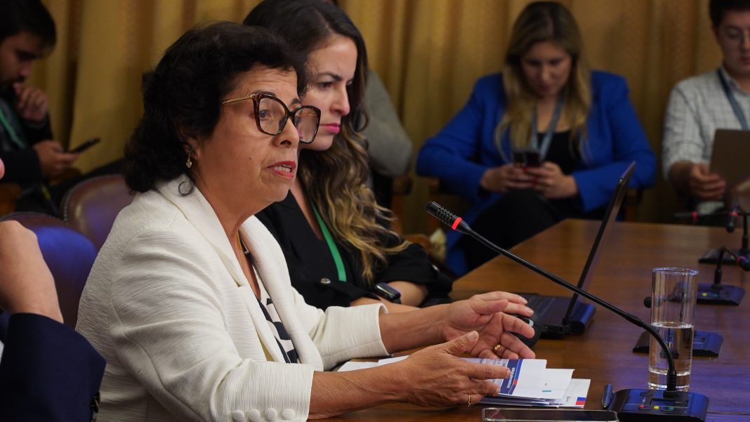 Ministra minería presenta proyecto de ley de modernización de la ENAMI