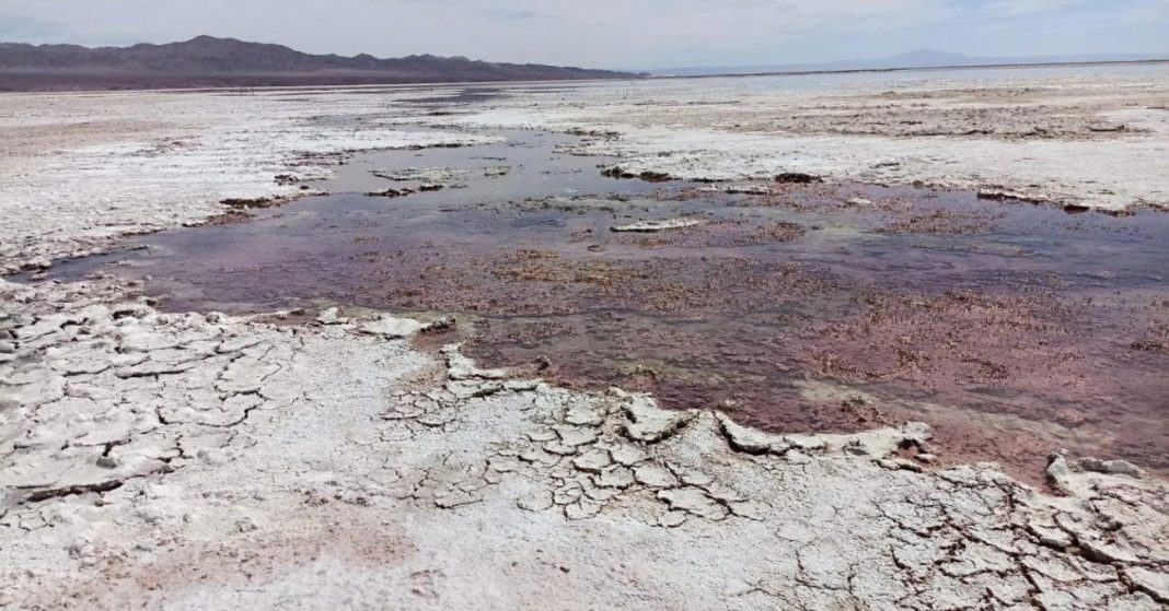 Albemarle solicita revisión de su permiso ambiental en el salar de Atacama por descenso de acuíferos